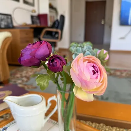 Pax Plena Apartman *