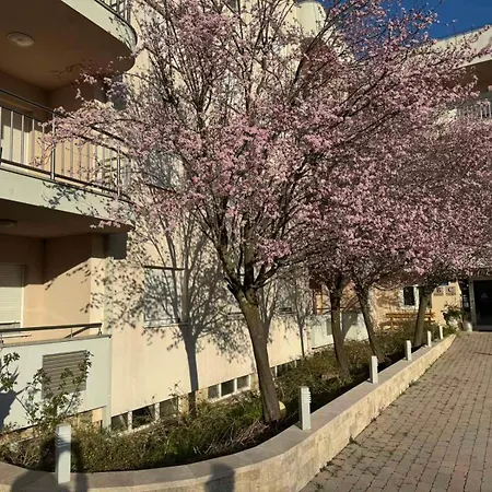 Pax Plena Apartment Medjugorje
